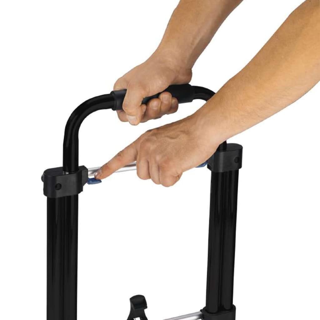 Einhell Hand Truck BT-HT 100
